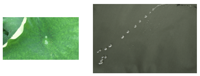 ks凯时医用纺织