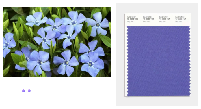 ks凯时纺织面料