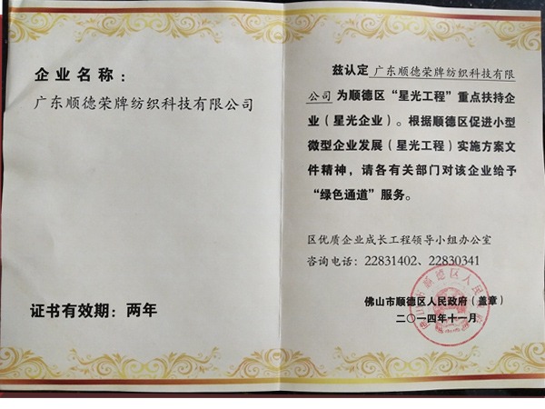 ks凯时荣获政府重点扶持企业